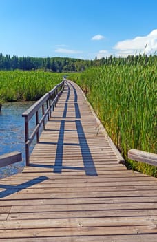 Boardwalk and Shadows in Summer Light in Riding Mountain National Park in Manitoba