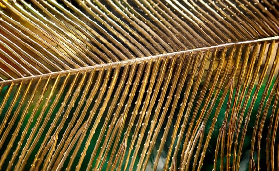A close-up of a gilded palm leaf.