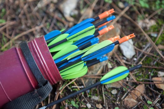 Fiber purple quiver full of arrows over forest ground. Selective focus