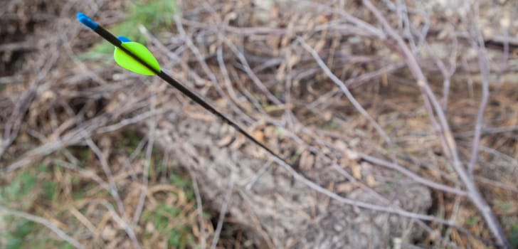 Sports arrow stuck in a log. Focus on straight parabolic fletchings