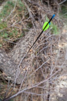 Sports arrow stuck in a log. Focus on straight parabolic fletchings