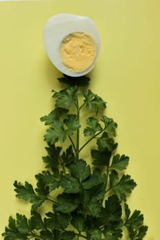 Green parsley and a boiled chicken egg on a yellow background.