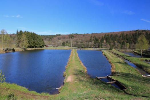 Partial view of a fish farming plant, blue sky in the background