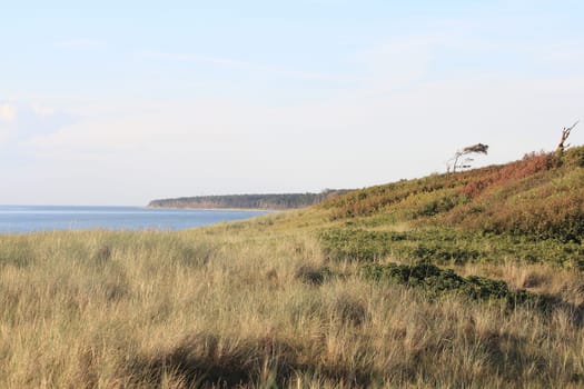 The Western Pomerania Lagoon Area National Park (Nationalpark Vorpommersche Boddenlandschaft) is Mecklenburg-Vorpommern's largest national park, situated at the coast of the Baltic Sea