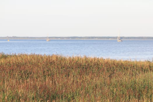 The island of Bock lies in the Baltic Sea southwest of the island of Hiddensee and east of the peninsula of Zingst