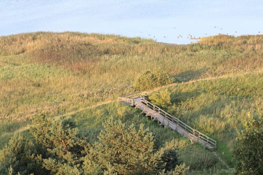 The Western Pomerania Lagoon Area National Park (Nationalpark Vorpommersche Boddenlandschaft) is Mecklenburg-Vorpommern's largest national park, situated at the coast of the Baltic Sea