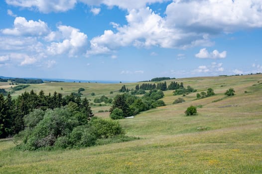 Green Landscape with trees and meadow in the high Rhoen