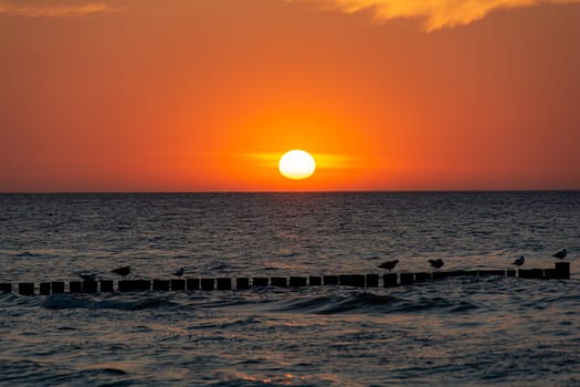 Orang - red sunset over the ocean, with wooden post breakwater and seagulls