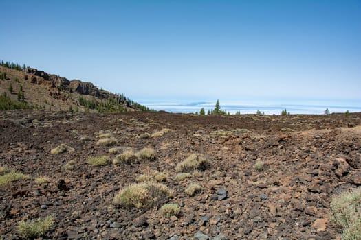 Volcanic landscape in El Teide National Park on the Canary Island of Tenerife, Spain
