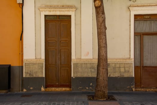 Old wooden door on a house with a tree on the Canary Island of Gran Canaria in Spain