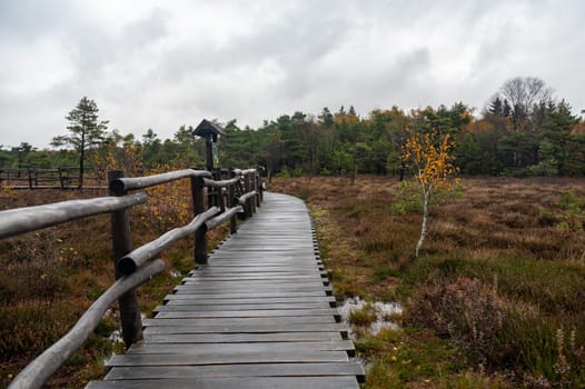 A wooden footbridge in the Schwarzes Moor in the Rhoen, Bavaria, Germany, in autumn after rain