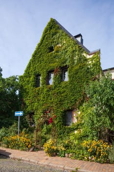 Old overgrown residential building, Celle, Lower Saxony, Germany, Europe