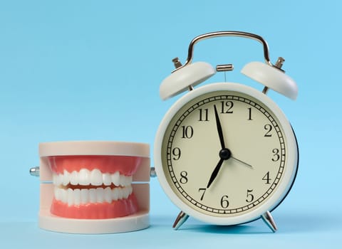 Round alarm clock and plastic model of a human jaw on a blue background, brushing teeth in the morning