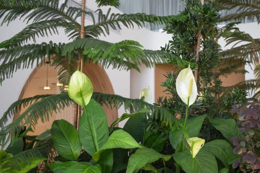 Interior of stylish white and green room, stock photo