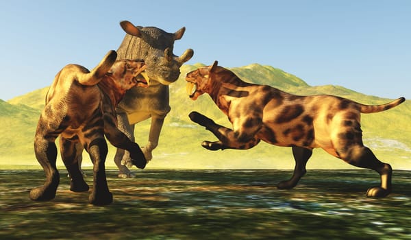 A Brontotherium mammal tries to defend itself when two predatory Saber-toothed tigers attack it.