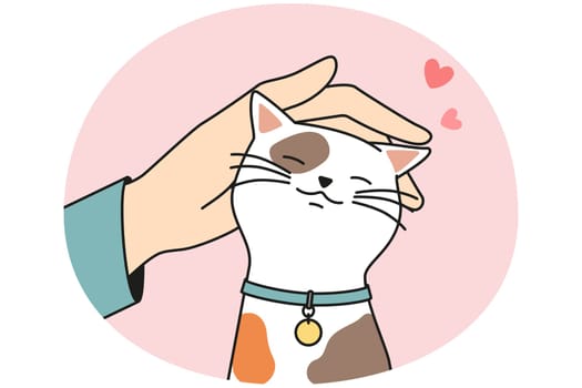 Hand caress cute cat