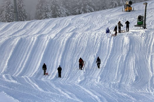 The snow on the Feldberg is always enough for a toboggan ride after the first onset of winter in Germany.   In the Upper Black Forest,as here on the Feldberg (Breisgau-Hochschwarzwald district),there were the first heavy snowfalls on Tuesday with the cold air and temperatures below freezing point - on Wednesday the landscape presented itself in its best white winter dress. Sugar-covered fir trees with a snow depth of a good 40 centimetres,sunshine attracted the first winter sports enthusiasts to the highest elevation in the country. On the first weekend in December,the winter sports season on the Feldberg is to be opened.