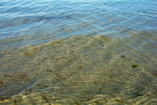 Shallow water from the Baltic Sea near the shore