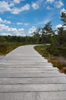 Black moor with a new wooden path in the Rhoen, Bavaria, Germany