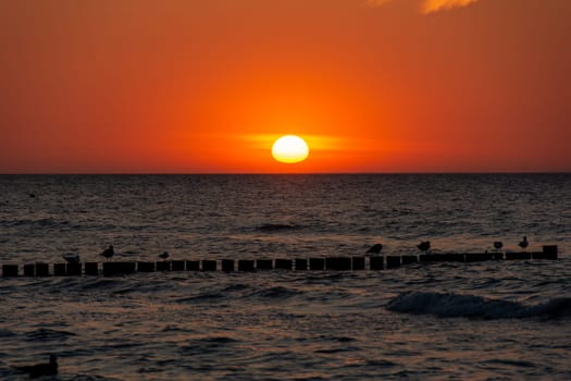 Orang - red sunset over the ocean, with wooden post breakwater and seagulls
