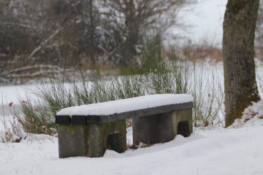 Bank covered with snow in a winter landscape