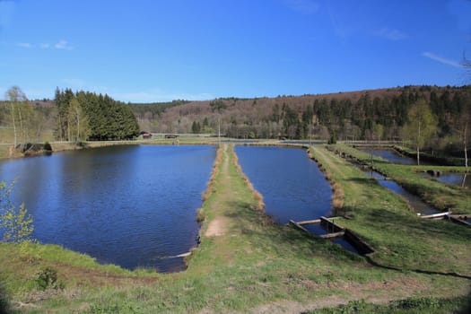 Partial view of a fish farming plant, blue sky in the background