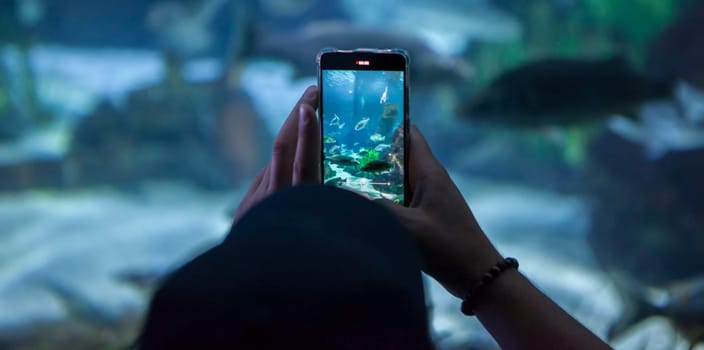 Visitor taking pictures with smarphone at aquarium. Soft noise