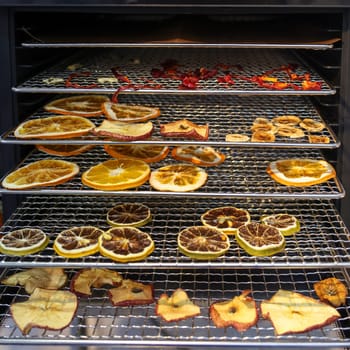 The Food Dehydrator Machine - a device for drying vegetables and fruits without losing vitamins and trace elements