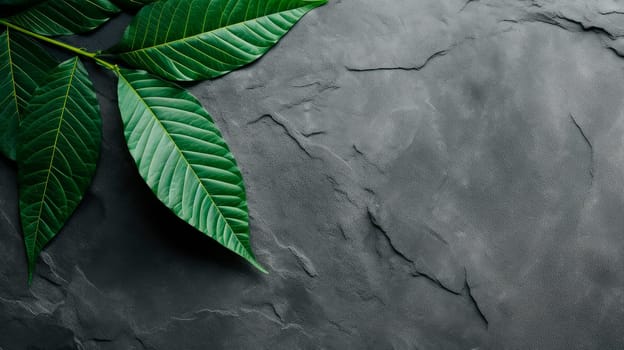 Green tropical leaves lying on a stone background, copy-space. AI generated