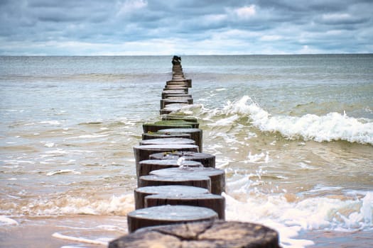 Groynes jut out into the Baltic Sea. Wooden trunks to protect the coast. Landscape from the sea