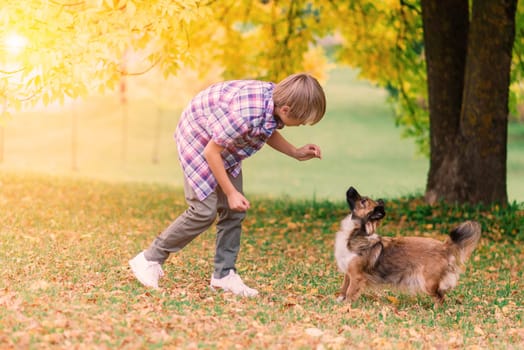 Cute boy playing and walking with his dog in the meadow.