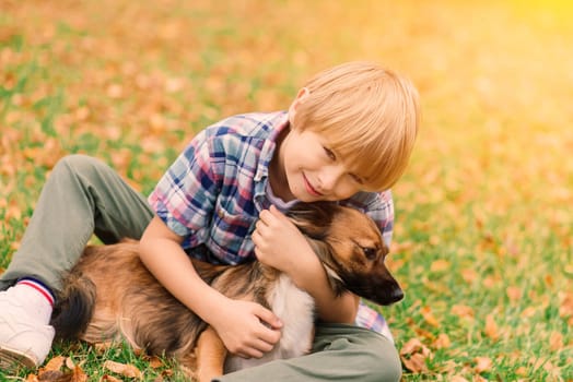 Cute boy playing and walking with his dog in the meadow.