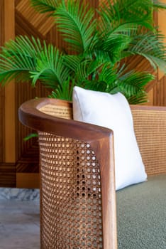A modern cozy wicker couch with a white pillow and a palm tree in the background in a living room