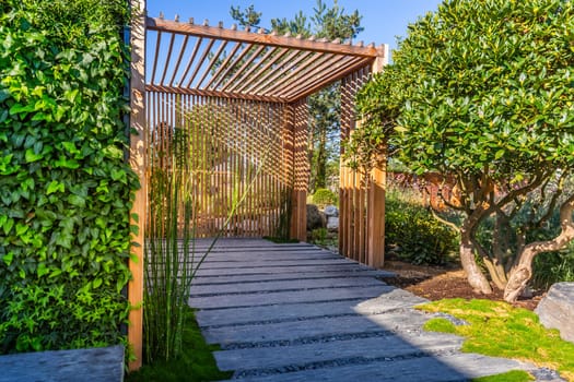 Modern wooden arbor. Modern wooden roofing in courtyard, backyard, terrace or patio