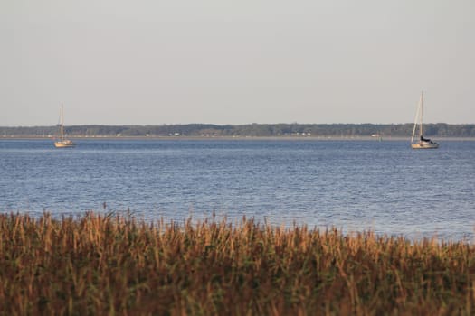 The island of Bock lies in the Baltic Sea southwest of the island of Hiddensee and east of the peninsula of Zingst