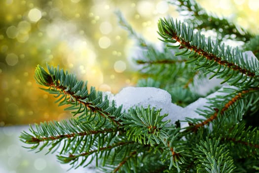 Christmas golden background with fir branches and glittering snowflakes