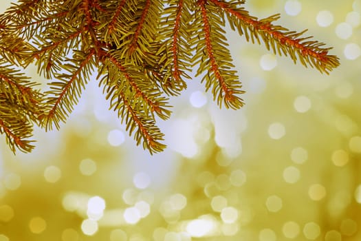 Christmas golden background with fir branches and glittering snowflakes