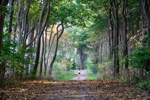 A jogger runs through an autumn forest