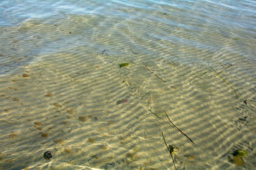 Shallow water from the Baltic Sea near the shore