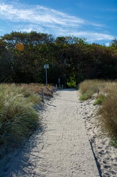 A path from the beach to the town with trees and blue sky