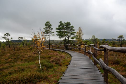 A wooden footbridge in the Schwarzes Moor in the Rhoen, Bavaria, Germany, in autumn after rain