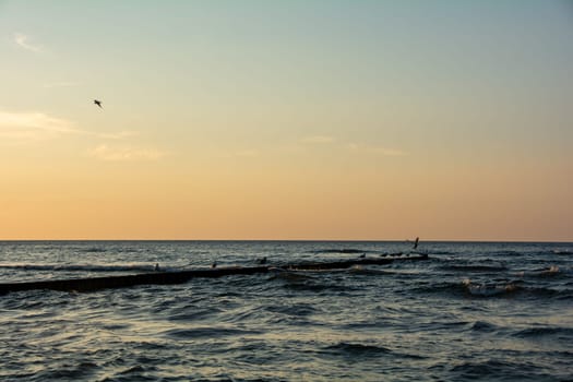 Waves on the sea with sky with gull on groyne