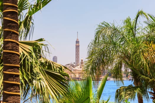 TV Tower of Cairo, beautiful view from the palms by the Nile river, Egypt.
