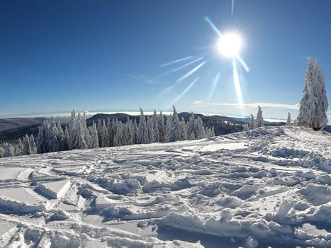 Bright sunshine,blue skies and a dreamlike winter landscape on the Feldberg - opening of the winter sports season 2023-24  In picture-perfect weather with blue skies,pure sunshine and over half a metre of snow,the ski season was opened on the 1,493-metre-high Feldberg (Breisgau-Hochschwarzwald district). Several hundred winter sports enthusiasts frolicked in the snow on skis and snowboards. Others took the opportunity for a first winter walk or a toboggan ride in a dreamlike snow-covered winter landscape on the Höchsten. But in the next few days the weather is expected to become more unstable again