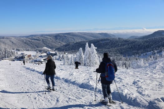 Snowshoe hikers enjoy the winter day at Feldbeg   Feldberg - Opening of the winter sports season 2023-24  In picture-perfect weather with blue skies,pure sunshine and over half a metre of snow,the ski season was opened on the 1,493-metre-high Feldberg (Breisgau-Hochschwarzwald district). Several hundred winter sports enthusiasts frolicked in the snow on skis and snowboards. Others took the opportunity for a first winter walk or a toboggan ride in a dreamlike snow-covered winter landscape on the Höchsten. But in the next few days the weather is expected to become more unstable again