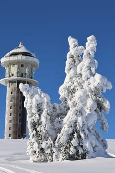 The Feldberg Tower and a snow-covered fir tree  Feldberg - Opening of the winter sports season 2023-24  In picture-perfect weather with blue skies,pure sunshine and over half a metre of snow,the ski season was opened on the 1,493-metre-high Feldberg (Breisgau-Hochschwarzwald district). Several hundred winter sports enthusiasts frolicked in the snow on skis and snowboards. Others took the opportunity for a first winter walk or a toboggan ride in a dreamlike snow-covered winter landscape on the Höchsten. But in the next few days the weather is expected to become more unstable again