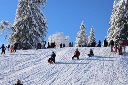 Feldberg - Opening of the winter sports season 2023-24  In picture-perfect weather with blue skies,pure sunshine and over half a metre of snow,the ski season was opened on the 1,493-metre-high Feldberg (Breisgau-Hochschwarzwald district). Several hundred winter sports enthusiasts frolicked in the snow on skis and snowboards. Others took the opportunity for a first winter walk or a toboggan ride in a dreamlike snow-covered winter landscape on the Höchsten. But in the next few days the weather is expected to become more unstable again
