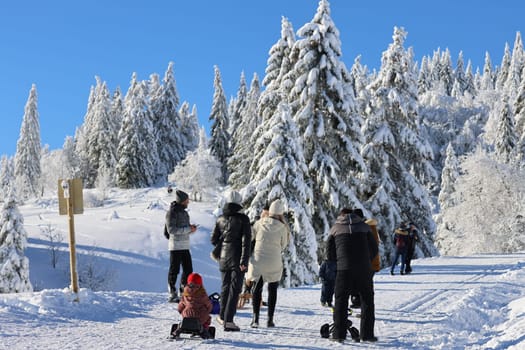 Winter hikers and families with their children enjoy the moment in the snow on the Feldberg - opening of the winter sports season 2023-24  In picture-perfect weather with blue skies,pure sunshine and over half a metre of snow,the ski season was opened on the 1,493-metre-high Feldberg (Breisgau-Hochschwarzwald district). Several hundred winter sports enthusiasts frolicked in the snow on skis and snowboards. Others took the opportunity for a first winter walk or a toboggan ride in a dreamlike snow-covered winter landscape on the Höchsten. But in the next few days the weather is expected to become more unstable again