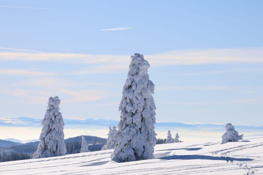 Feldberg - Opening of the winter sports season 2023-24  In picture-perfect weather with blue skies,pure sunshine and over half a metre of snow,the ski season was opened on the 1,493-metre-high Feldberg (Breisgau-Hochschwarzwald district). Several hundred winter sports enthusiasts frolicked in the snow on skis and snowboards. Others took the opportunity for a first winter walk or a toboggan ride in a dreamlike snow-covered winter landscape on the Höchsten. But in the next few days the weather is expected to become more unstable again