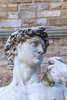 Head of white marble statue of David at Piazza della Signoria square, Florence, Tuscany, Italy